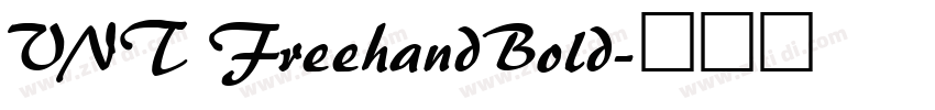 VNT FreehandBold字体转换